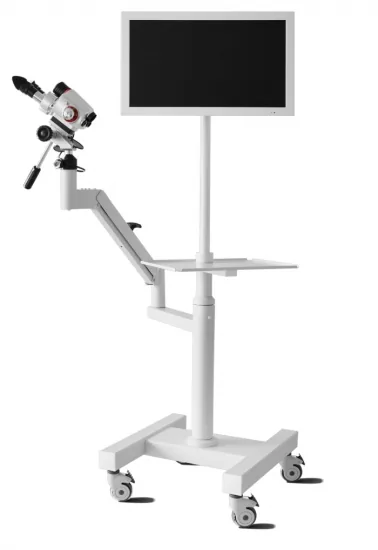 Gynecology & colposcopy